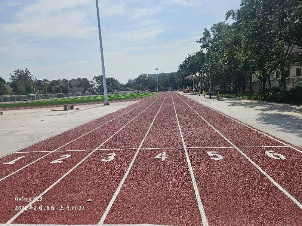 大武口第十二小學(xué) (6).jpg